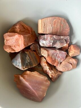 Petrified Wood